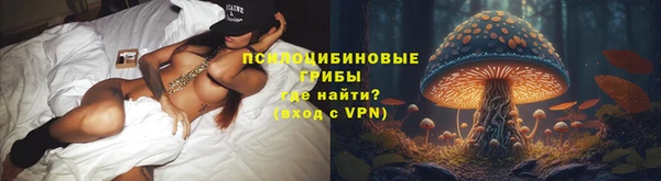 гидра Баксан