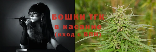 гидра Арсеньев