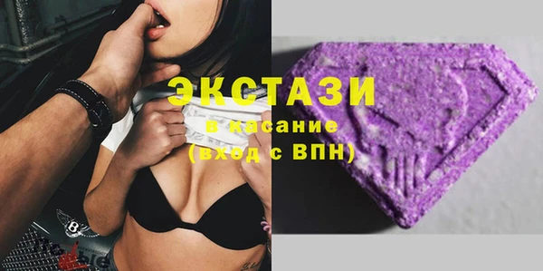 гидра Арсеньев